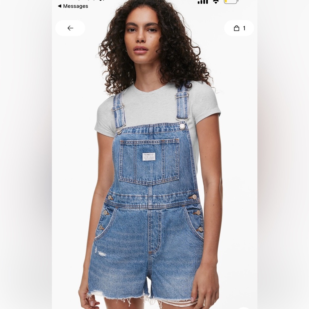Aritzia Levis Vintage Denim Shortall